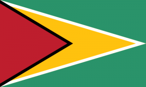 Flagofguyanasvg — Ranking of Islamic Countries option 20