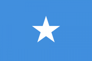 Flagofsomaliasvg — Ranking of Islamic Countries option 49