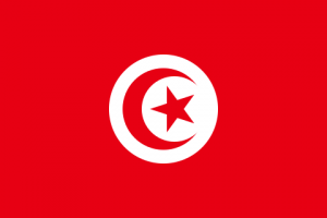 Flagoftunisiasvg — Ranking of Islamic Countries option 64
