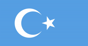 Uyghur Flag 1200 3039286419 — Ranking of Islamic Countries option 71