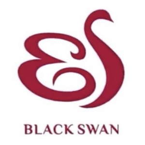 Blackswanjpg — Ultimate KPOP BG + GG Tier List (344 Groups!) option 59