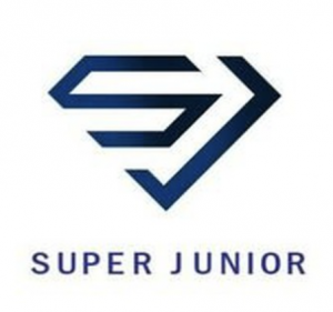 Screenshot 2023 12 08 At 110212pm — Ultimate KPOP BG + GG Tier List (344 Groups!) option 245