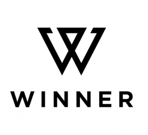 Screenshot 2023 12 08 At 111532pm — Ultimate KPOP BG + GG Tier List (344 Groups!) option 262