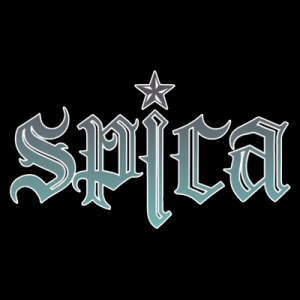 Spicajpg — Ultimate KPOP BG + GG Tier List (344 Groups!) option 290