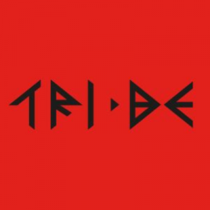 Tribejpg — Ultimate KPOP BG + GG Tier List (344 Groups!) option 307