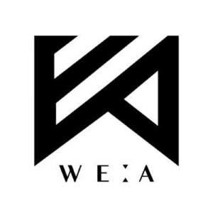 We A Logopicture — Ultimate KPOP BG + GG Tier List (344 Groups!) option 314