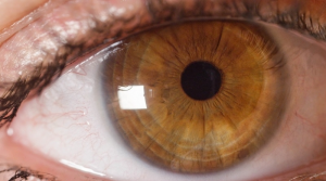 Stock Photo Close Up Detailed Look At Beautiful Amber Eye Opening And Observing Surroundings Female Pupil 1494342689 Transformed — Eye color option 10