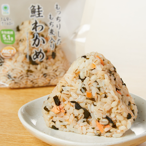 Fmshakewakame — Japanese Onigiri option 51