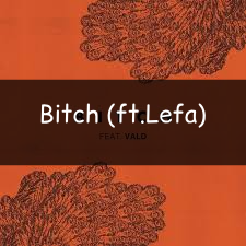 Bitch — Vald (Toute la discographie) option 21