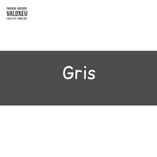 Zzzzz 1748290409gris — Vald (Toute la discographie) option 73