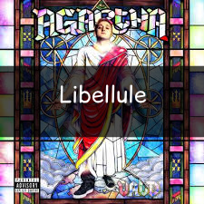 Zzzzz 1748290410libellule — Vald (Toute la discographie) option 114