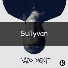 Zzzzz 1748290412sullyvan — Vald (Toute la discographie) option 201
