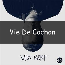Zzzzz 1748290413viedecochon — Vald (Toute la discographie) option 219