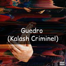 Zzzzz 1748290597guedro — Vald (Toute la discographie) option 241