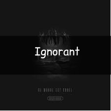 Zzzzz 1748290597ignorant — Vald (Toute la discographie) option 247