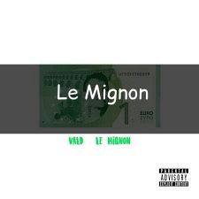Zzzzz 1748290598lemignon — Vald (Toute la discographie) option 274