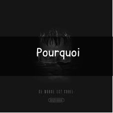 Zzzzz 1748290599pourquoi — Vald (Toute la discographie) option 327