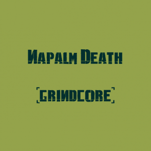 Napalm Death — The Best Metal Bands of every subhgenre (>100 bands) option 73