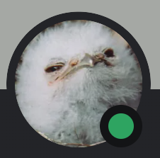 Koffman — Wonders Template option 10