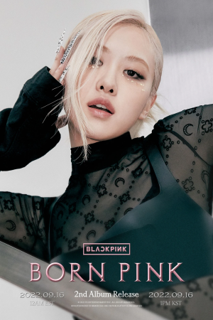 Rose — Beauty Tier List Kpop Girl Group Members (3rd gen - 5th gen) option 46