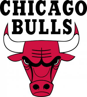 Chicago Bulls — Times da NBA option 5