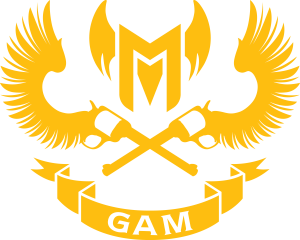Gam — MSI 2024 Teams option 6