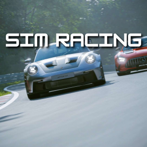 Zzzzz 1748908443sim Racing — Video Games Genres option 39