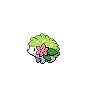 Shaymin — All Fully Evolved Grass Type Pokémon (Gen1-9) option 55