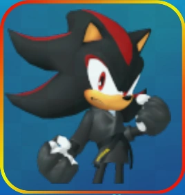 Zzzzz 1741795966karateshadowportrait — Sonic Speed Simulator option 222
