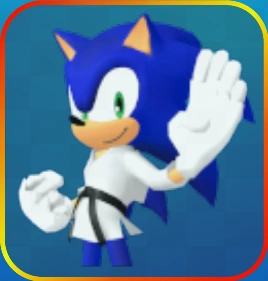 Zzzzz 1741795966karatesonicportrait — Sonic Speed Simulator option 221