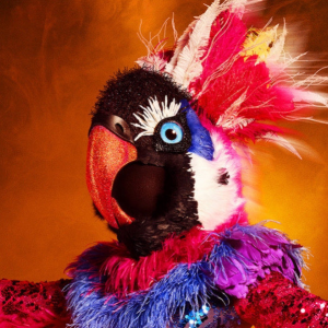 Zzzzz 1714263726229a3005 C632 44f2 Be71 Ff21ee3379b7 — masked singer faces option 238