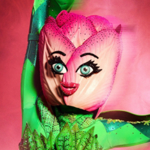 Zzzzz 17142637262810fd79 A674 471b 8a4f 3949ad4b538e — masked singer faces option 235