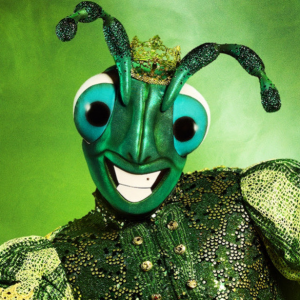 Zzzzz 1714263726ec454f76 7adc 4bcb 9a25 1253166b2b97 — masked singer faces option 236