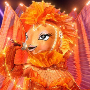 Zzzzz 171426432307c6f85d 2bae 4606 9d34 98e7d05d61a8 — masked singer faces option 256