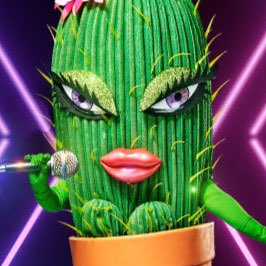 Zzzzz 1714264324c05e9162 3e66 444a 8a56 6440dadfd72a — masked singer faces option 266