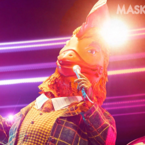 Zzzzz 1714273264e7c7da69 Bb5a 49cb A155 Ba4ad19c95ec — masked singer faces option 285