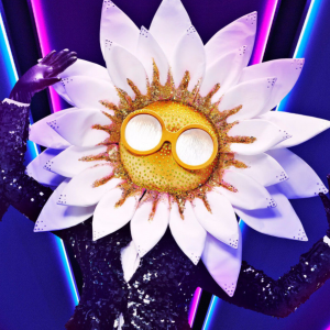 Zzzzz 17143152499638057e 9df8 456f 897d 3343d9c49806 — masked singer faces option 316