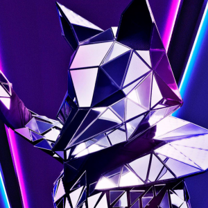 Zzzzz 17143152499e2df07a 03b6 45e4 857d F5a0e180de50 — masked singer faces option 312