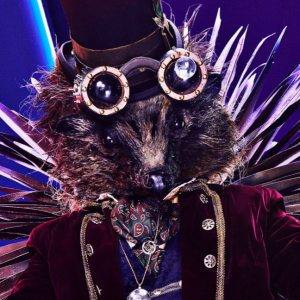 Zzzzz 1714315249cb2d0765 934f 4c25 9a18 6dc038a4ca6a — masked singer faces option 310