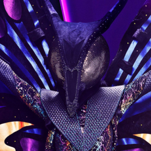 Zzzzz 1714315249e4012bd9 B709 4d9b B8c0 Dbff2aae8fee — masked singer faces option 308