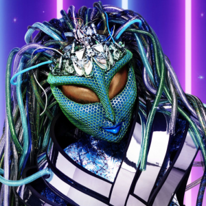 Zzzzz 171433691834246568 Aeda 408d A979 Ac8b6111681b — masked singer faces option 318