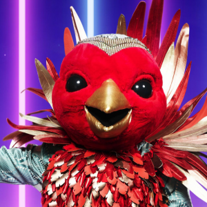 Zzzzz 17143369188731eaa5 F3cd 4305 9605 5589cd5a67d7 — masked singer faces option 317