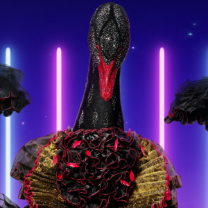 Zzzzz 1714336918ff45bc49 C0a6 427c B791 4d8960a8c31f — masked singer faces option 319