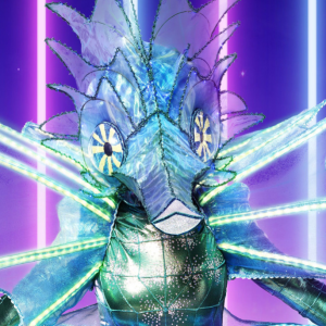 Zzzzz 1714336919cf58cd93 6990 49ca B463 C211cc95392a — masked singer faces option 326