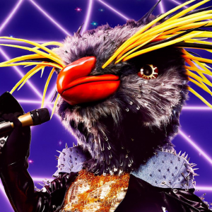 Zzzzz 1714337065153fa22d 1b74 4588 B5ec 8333c000885b — masked singer faces option 335