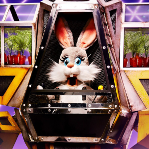 Zzzzz 1714337065191747c8 Def0 4e9b 96d4 583fa4578538 — masked singer faces option 330