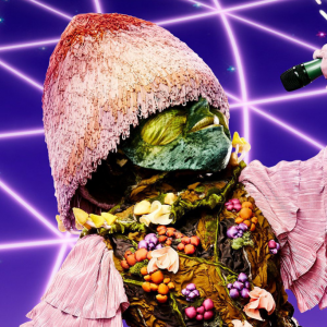 Zzzzz 17143370656a4d0b4a 97da 4d1a 8824 0e5ff572f5e7 — masked singer faces option 329