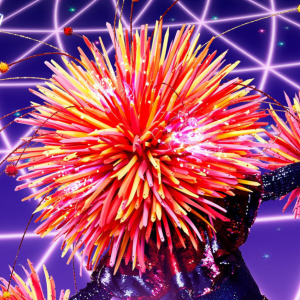 Zzzzz 1714337065de9ee4a8 Eced 4758 916b 5a781c708c48 — masked singer faces option 334