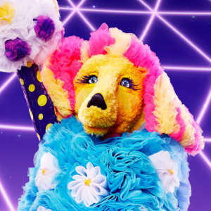Zzzzz 1714337065f0a4e155 25c4 471e A1f7 C036c60db1d6 — masked singer faces option 337