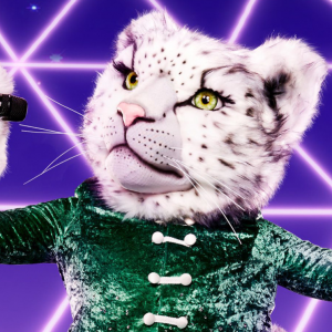 Zzzzz 171433706664146d99 9ec3 4f22 Ae53 B4fa472c299d — masked singer faces option 338